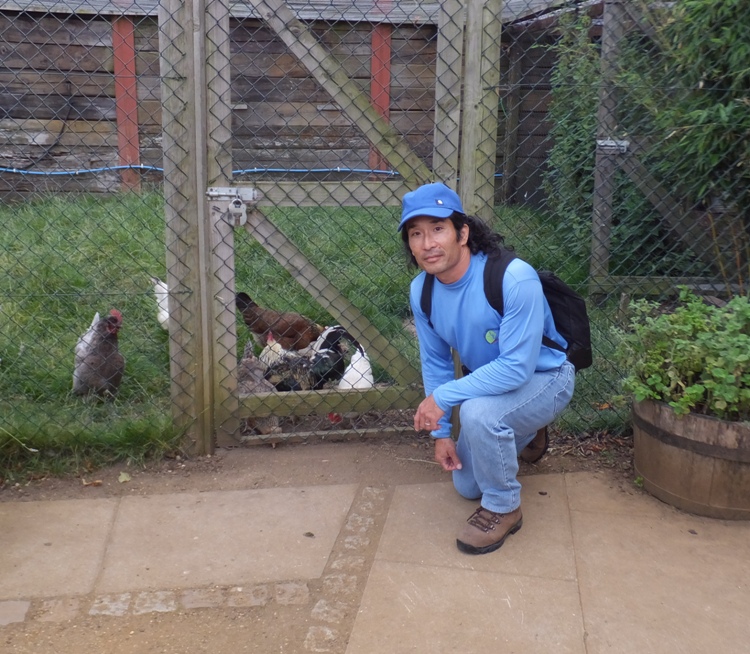 Me with chickens in a run