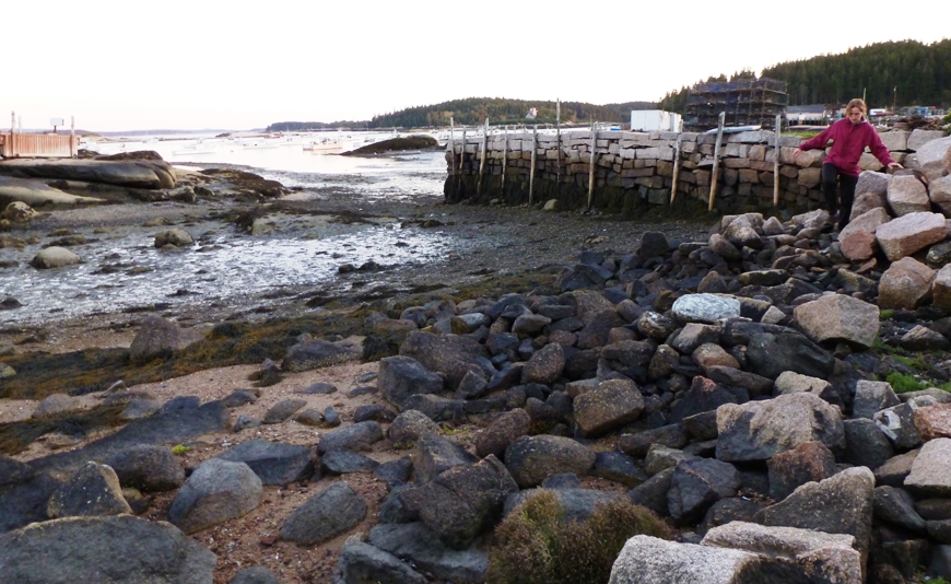 Norma walking on rocks at low tide