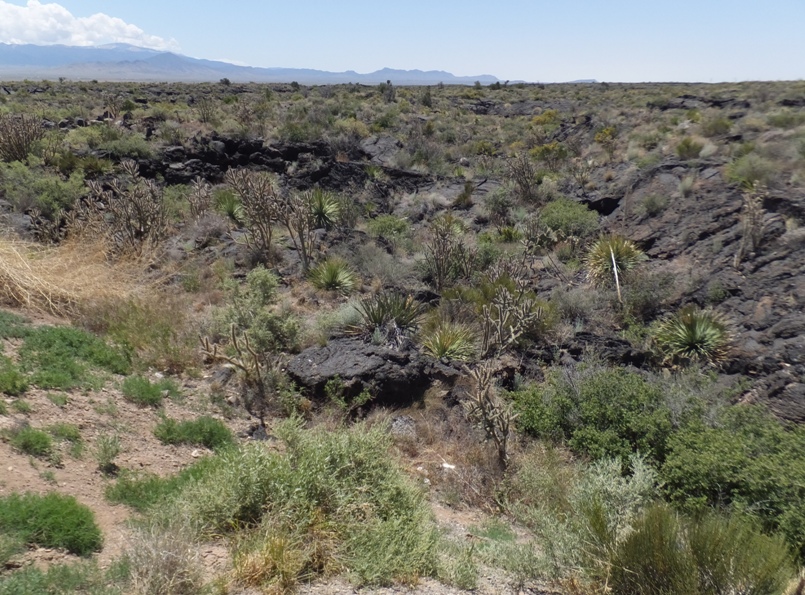 Lava rock