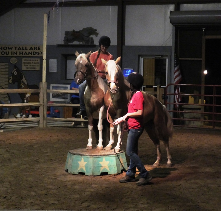 Two ponies with front feet on platform