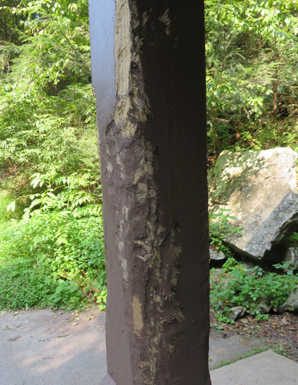Gnawed wooden post