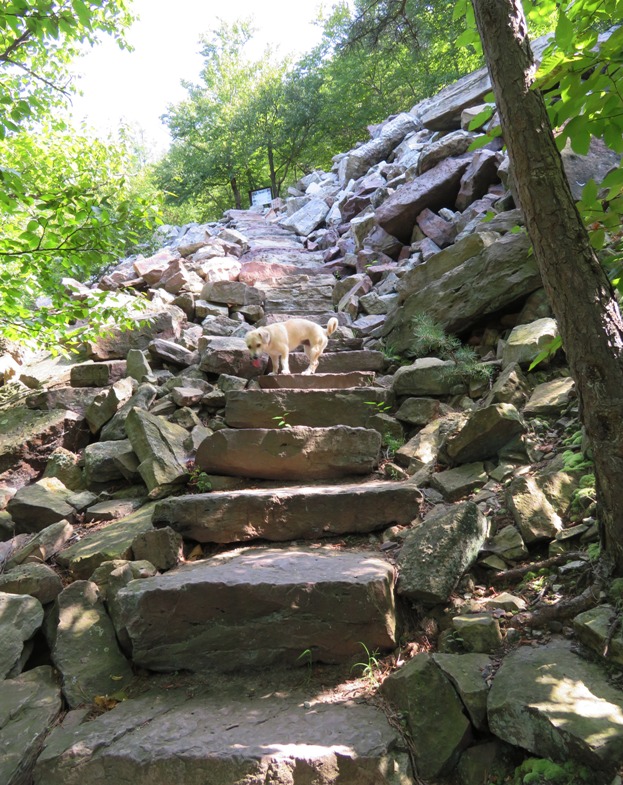 Daphne on stone stairs