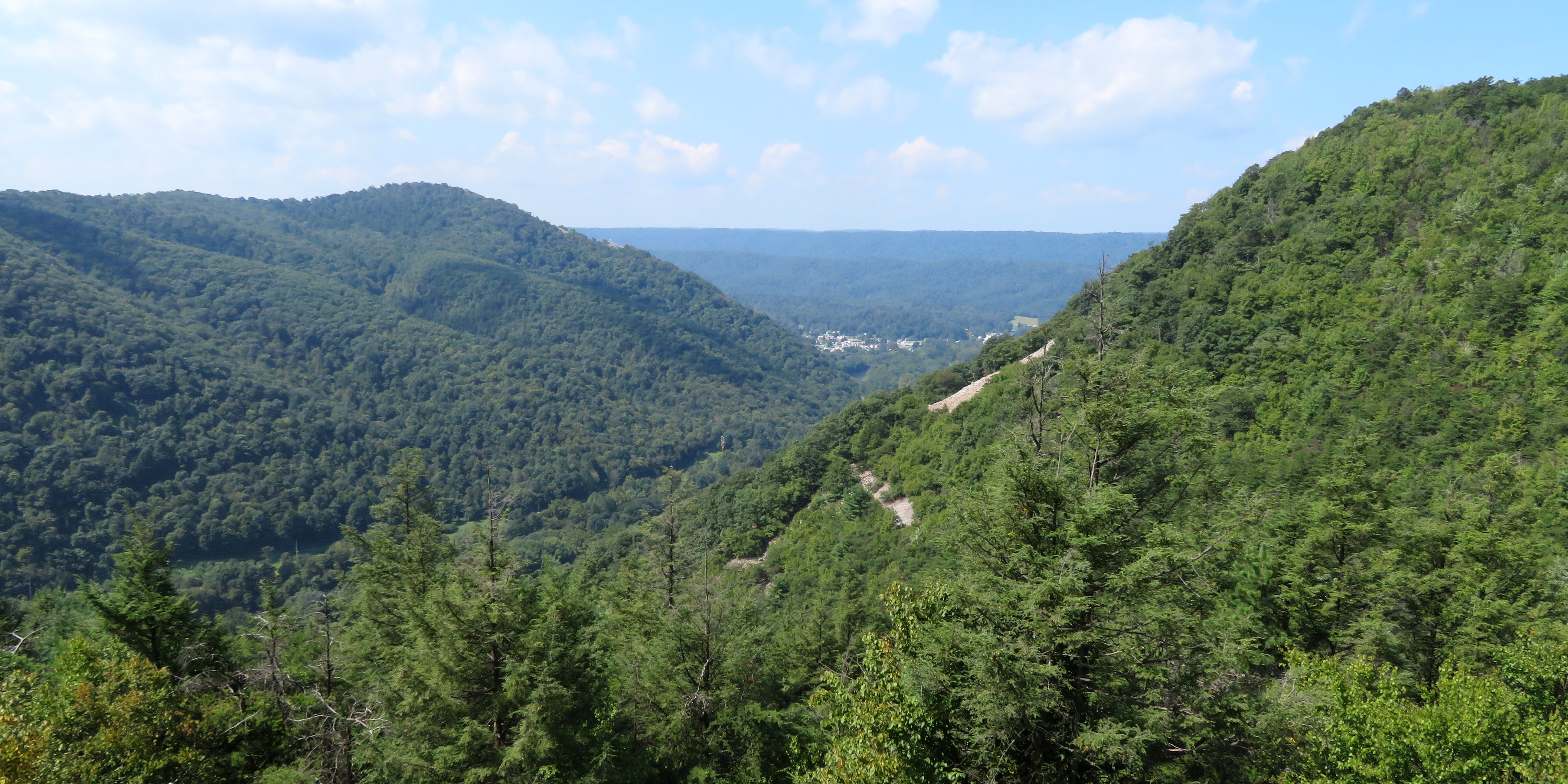 View of tree-covered mountains and town in the distance