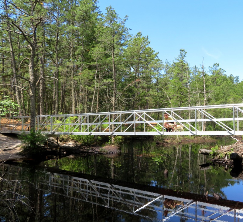 Dark water river with footbridge