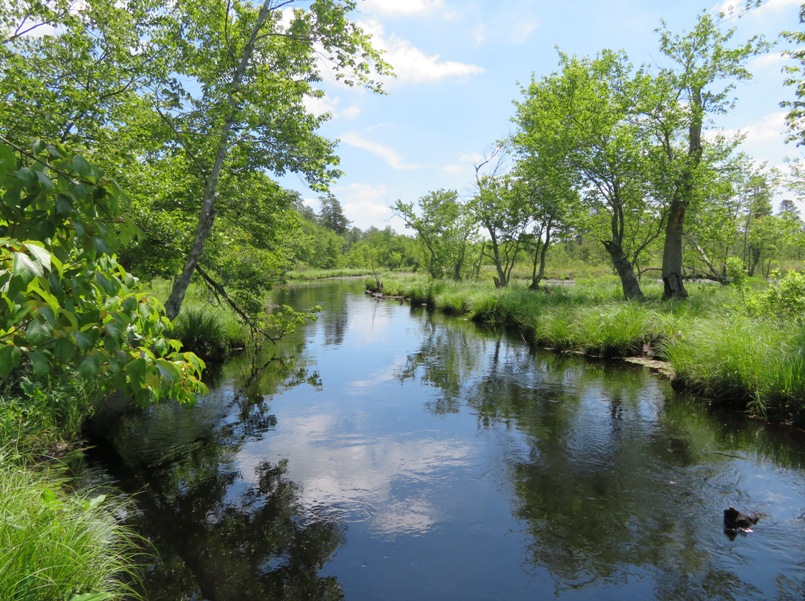 Downstream view from launch site