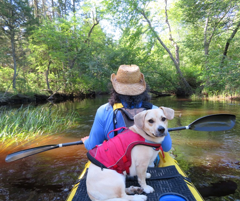 Daphne and me kayaking on the Batsto River