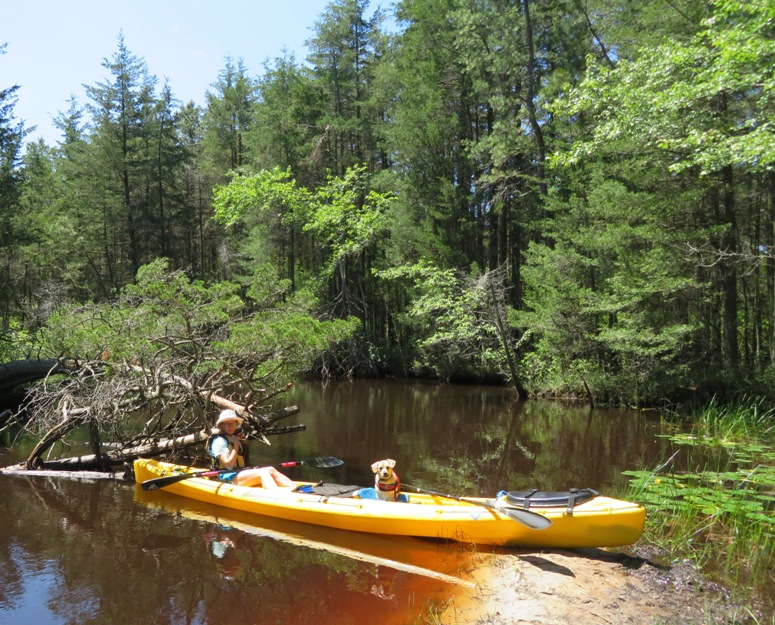 Norma and Daphne in the kayak with the front end ashore