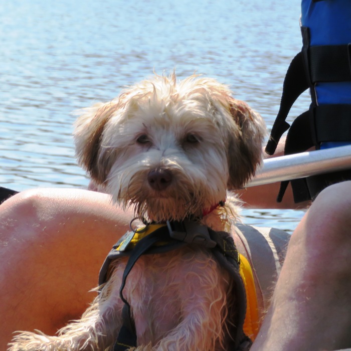 April in canoe