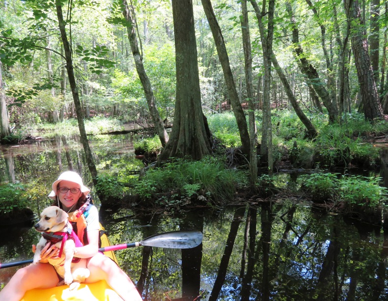 Norma and Daphne next to cypress trees