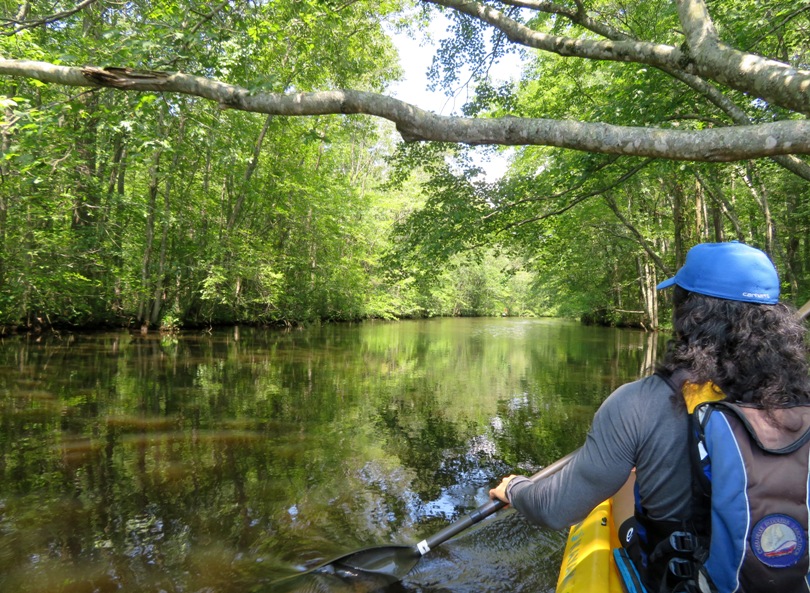 Me kayaking in tree-lined section of creek