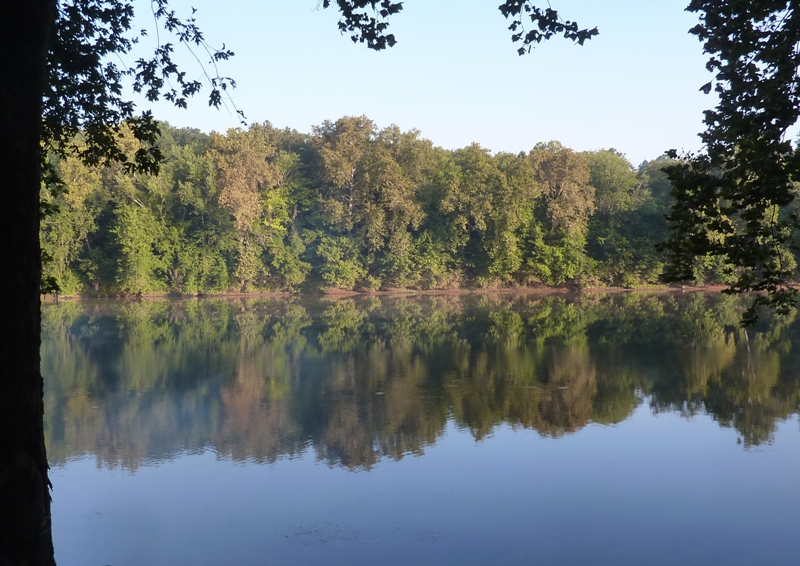 Flat water and trees