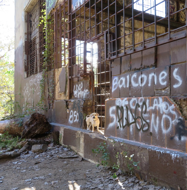 Daphne standing at the ruins of a hydroelectric plant