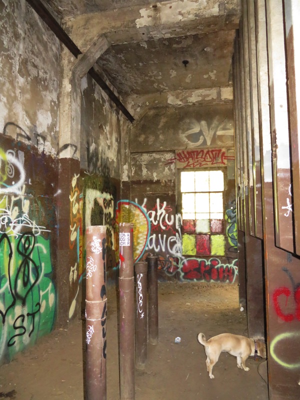 Daphne inside graffiti-covered transformer building