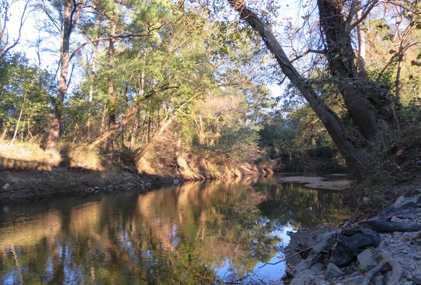 Very shaded part of the North Anna River