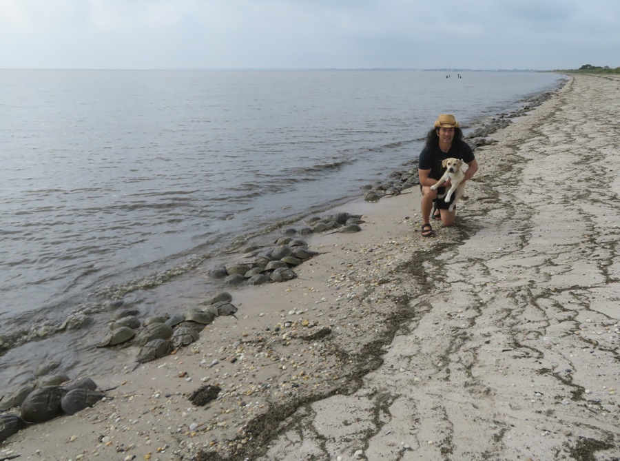 Daphne and I with the horseshoe crabs