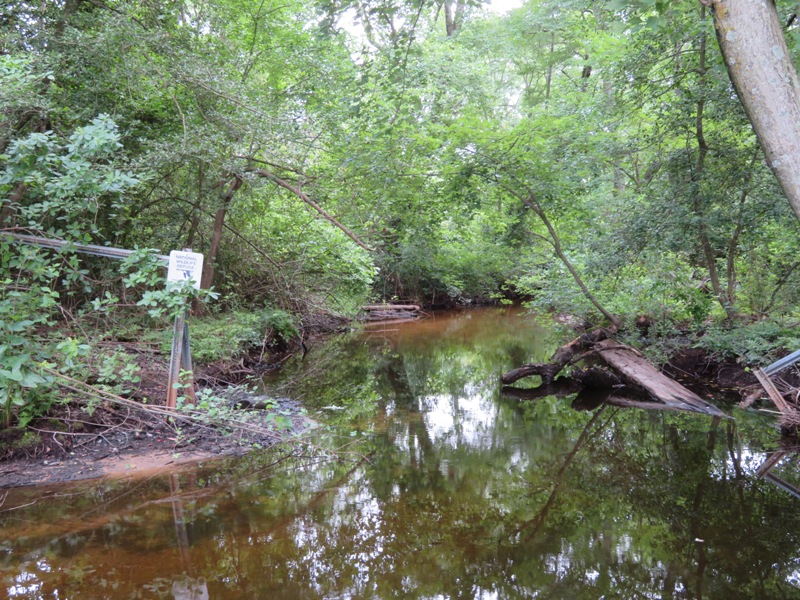 View of water from Brumbley Family Park launch site