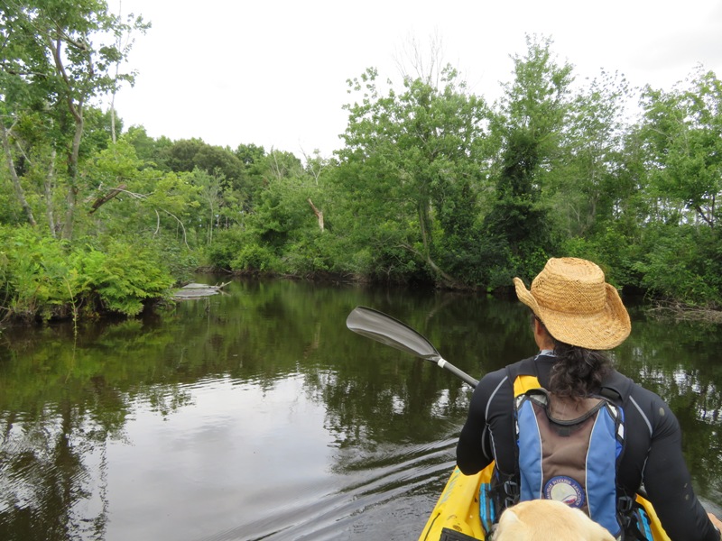 Me kayaking in natural area of refuge