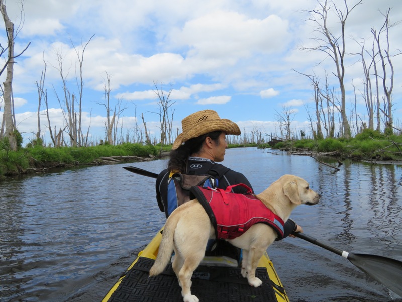 Daphne and I in kayak, surrounded by dead trees