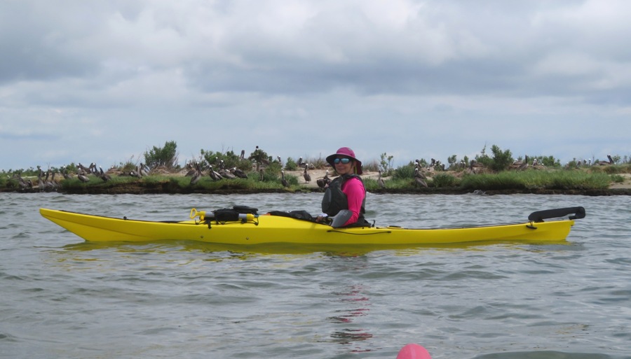 Ginzy in her kayak in front of rookery