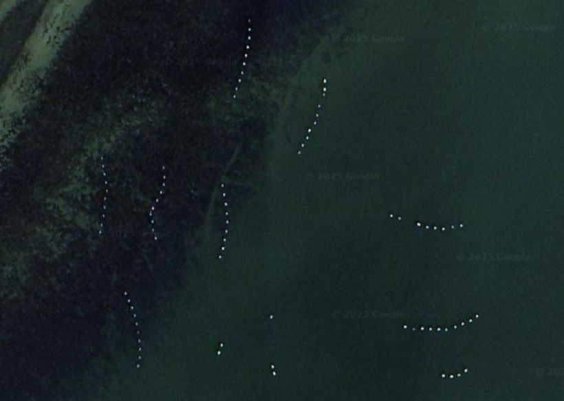 Satellite photo of containers for growing oysters
