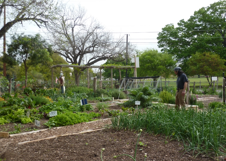 Me walking along the raised garden beds