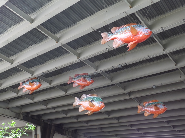 Big red fish hanging below bridge