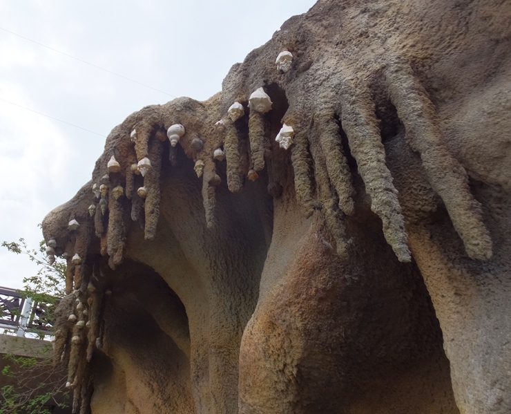 Stalactites with shells attached to them