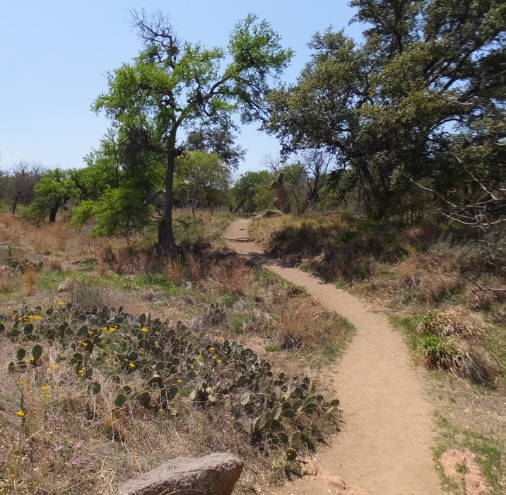 The Loop Trail