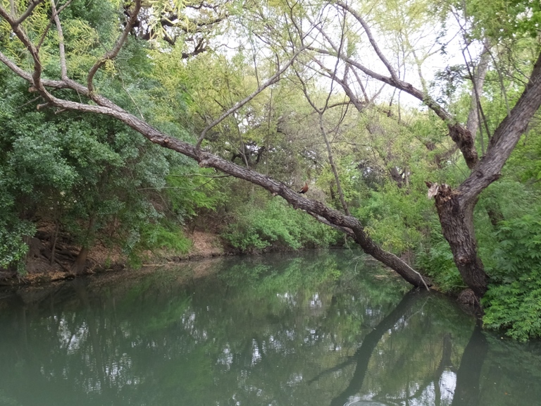 Narrow part of the San Antonio River