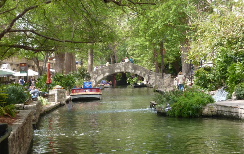Trees and a bridge over the River Walk