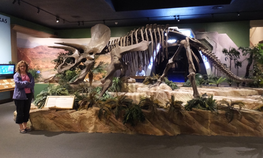 Norma standing next to triceratops skeleton