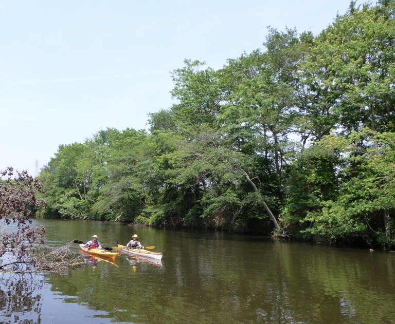Two kayakers on river lined by tall trees