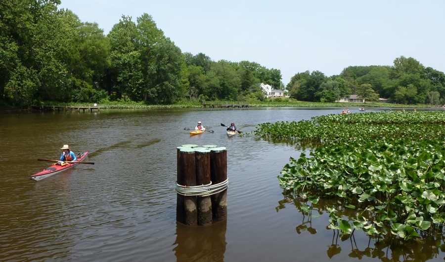 Jenn not paddling with other kayakers behind her