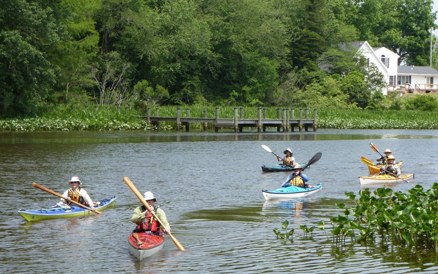 Tall Tom with a long Greenland paddle and other kayakers behind him