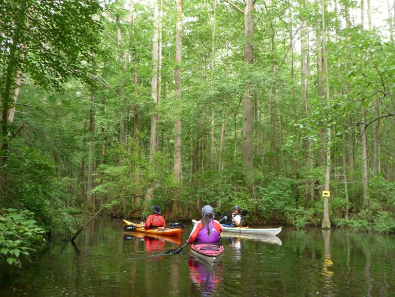 Three kayakers and sign telling them where to go