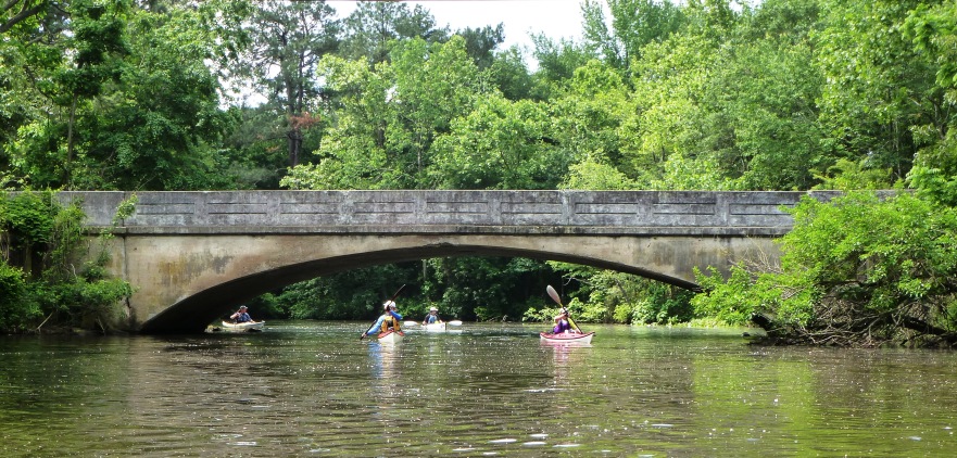 Kayakers at bridge