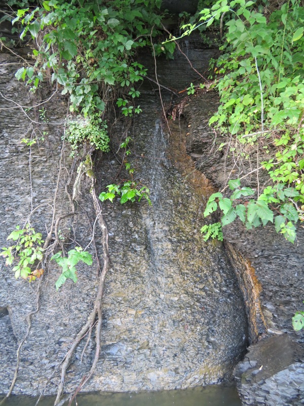 Trickle of water seeping from muddy wall into lake