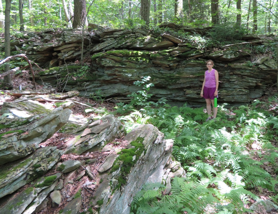 Norma standing in front of rocky ledge with ferns below
