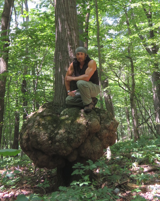 Me standing on burl growing on tree