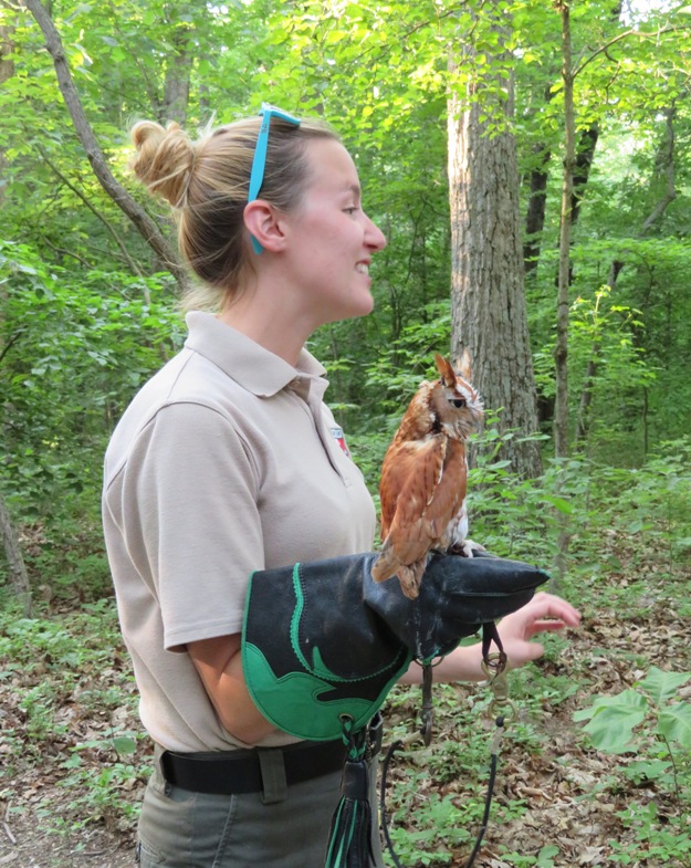 Woman with screech owl on her arm