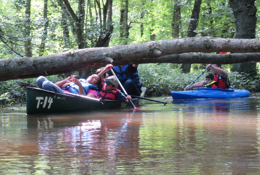 Rekha ducking under a log while Harald paddles