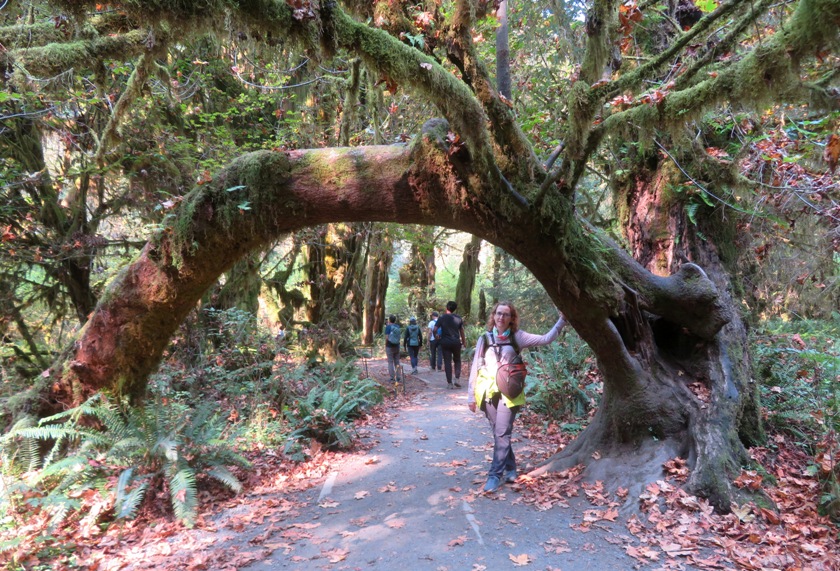 Norma standing below arched tree