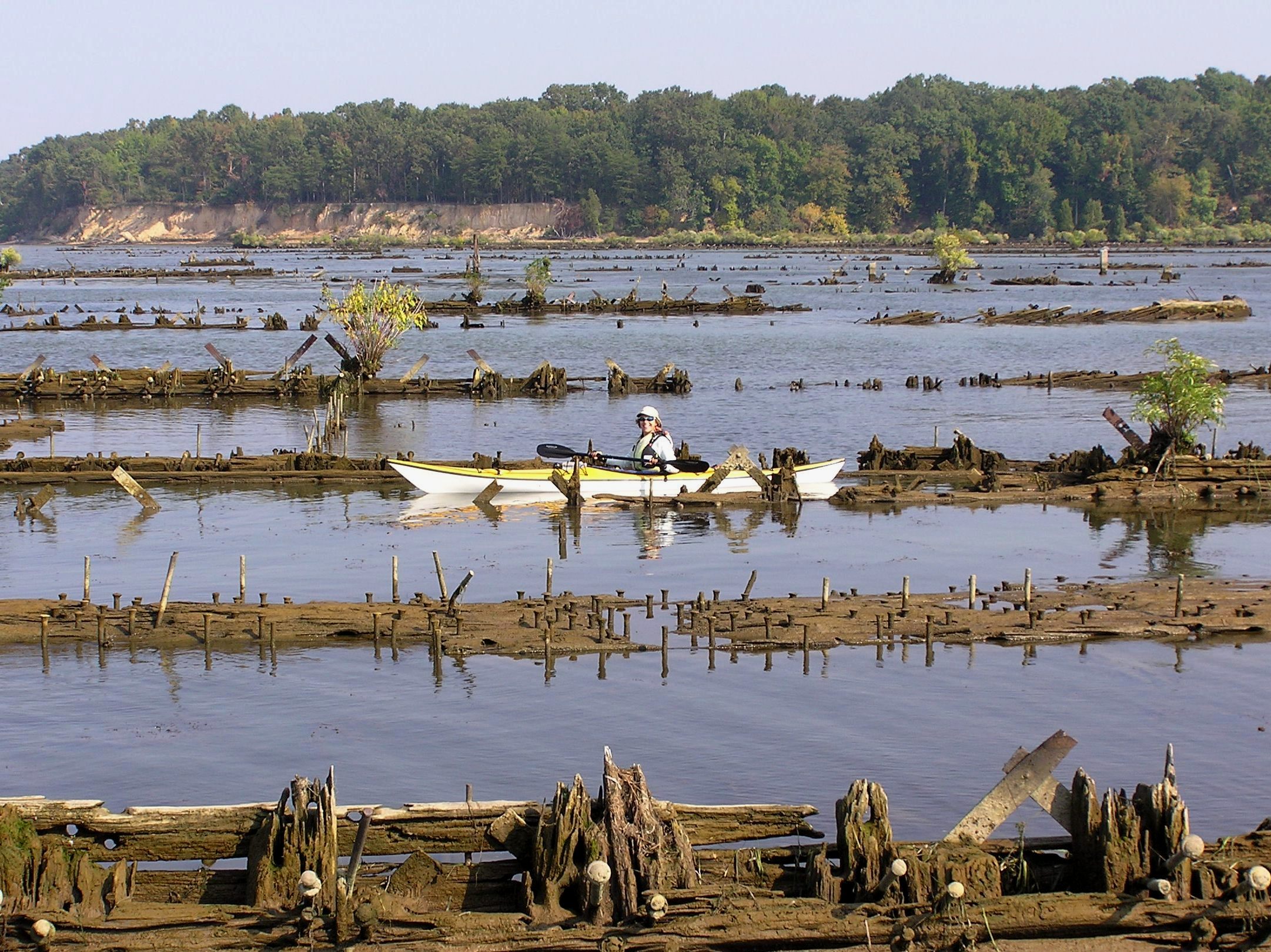 Yvonne T. on her kayak in the Mallows Bay Ship Graveyard