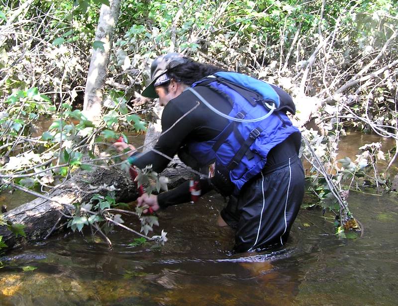 Me sawing through a tree while standing in the water