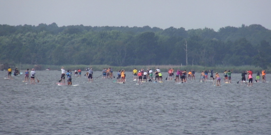 The backs of dozens of paddleboarders