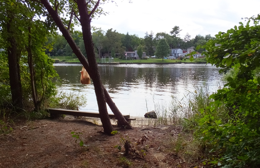 Wooden bench at launch area