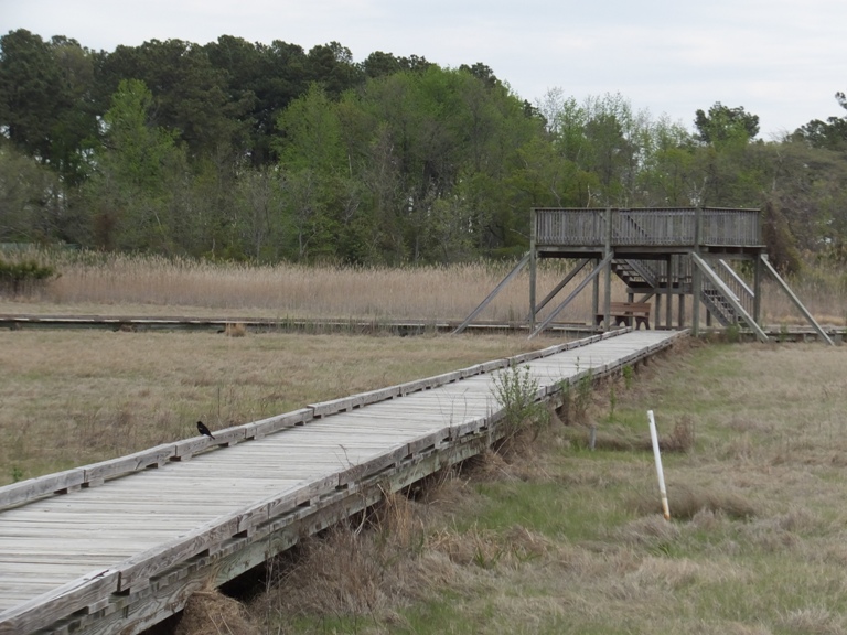 Boardwalk leading to a raised platform