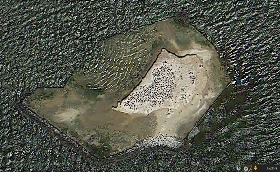 Satellite photo of Bodkin Island