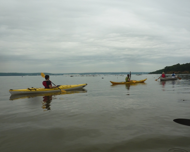 Chandler kayaking at the back with other paddlers in front