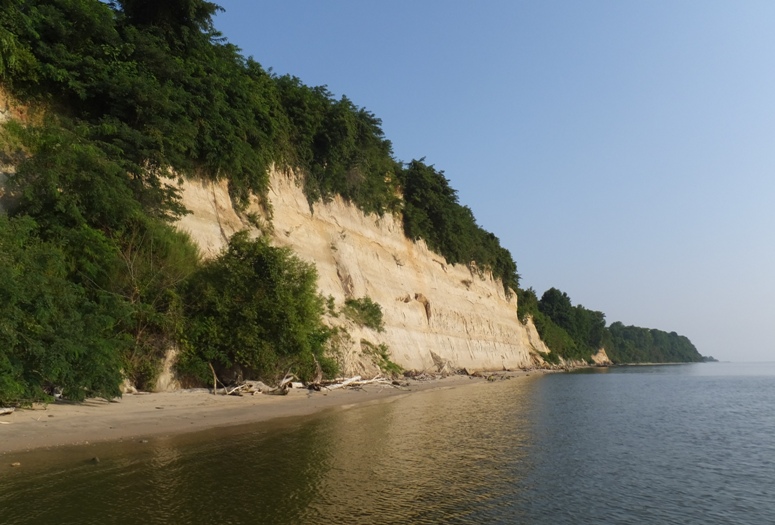 Steep cliff by the Chespeake Bay